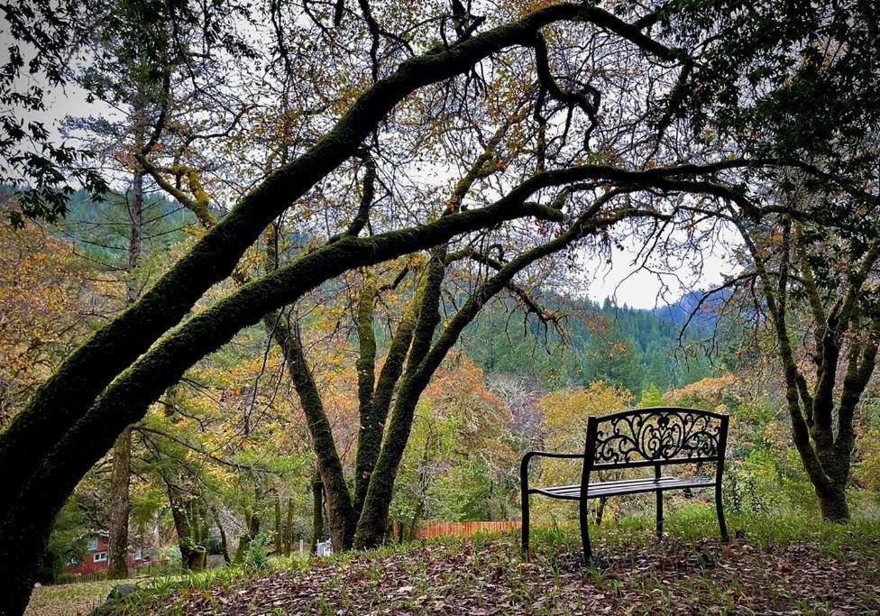 Avenue Of The Giants Pepperwood Place Miranda Exteriör bild